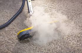The Importance of Regularly Steam Cleaning Office Carpets