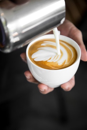 Fun Coffee Facts Every Coffee Lover Should Know